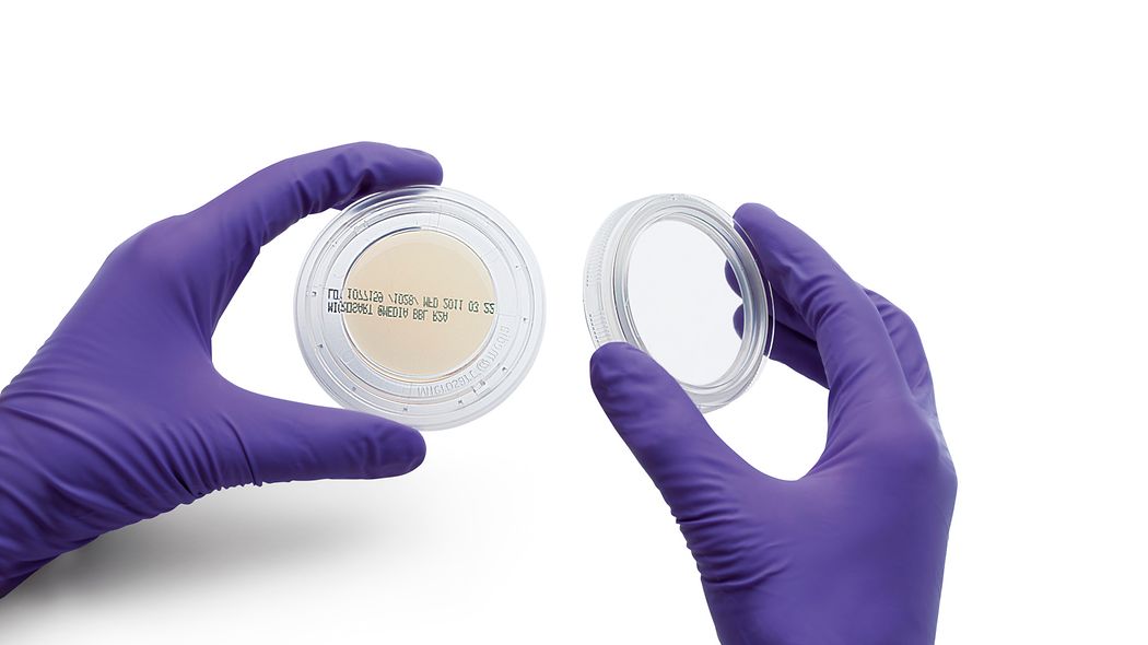 Sartorius hazır agar plakları